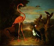 Jakob Bogdani Flamingo and Other Birds in a Landscape oil painting artist